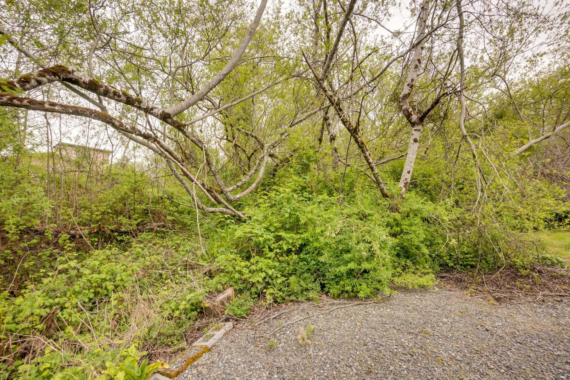 Soothing Studio With Lush Views 2 Mi To Beach! Smith River Esterno foto